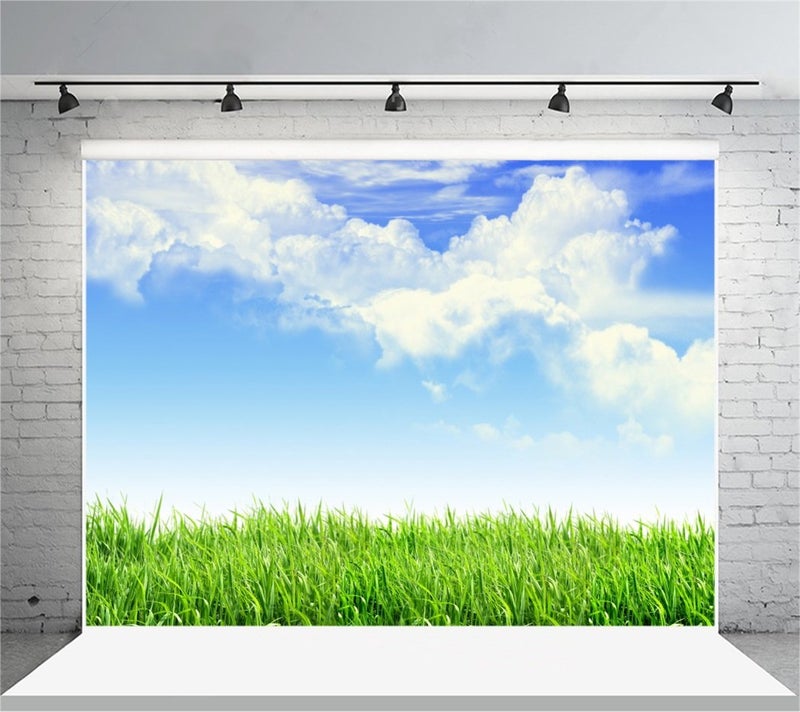 Leyiyi 6x4ft Spring Grassland Photography Background Gardening Plant Meadow Sky Cloud Light Spot North Prairie Backdrop Nature View Outdoor Activity Kids Birthday Photo Portrait Vinyl Studio Prop - Image 1